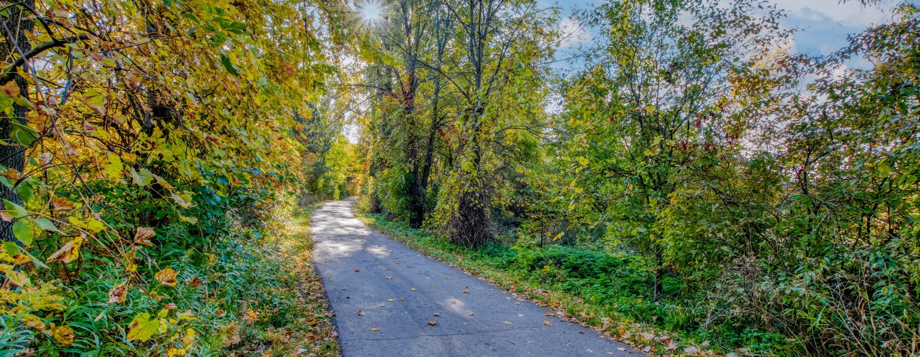 Paved walking and biking trails in the woods